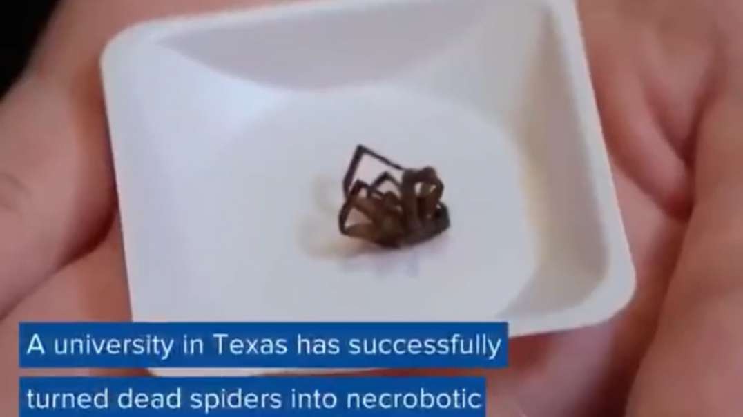 “A university in Texas has successfully turned dead spiders into “necrobotic grippers” capable of lifting items weighing more than 130% their own body weight.”  “You will live to see man-made