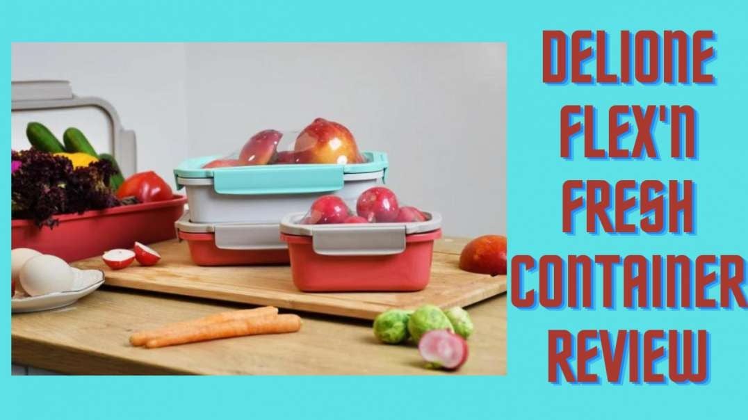 Everything You Need to Know About  DeliOne Flex'n Fresh Container Reusable & Food Grade