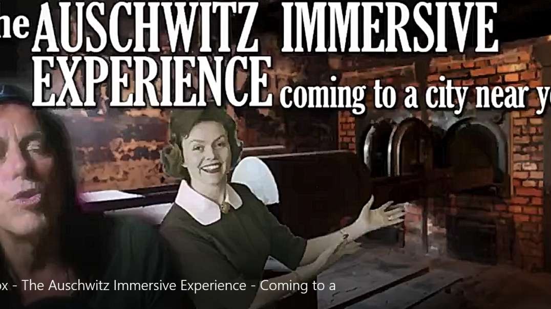 Harry Vox - The Auschwitz Immersive Experience - Coming to a.mp4