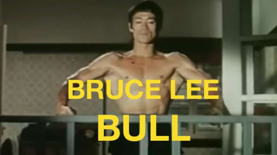 Bruce Lee Bull.mp4