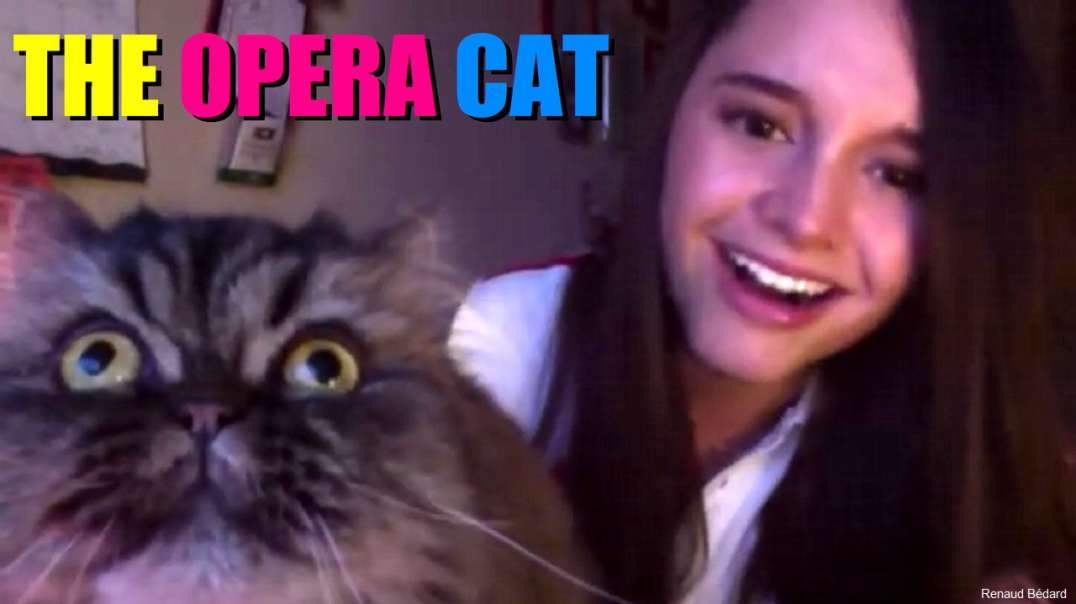 THE OPERA CAT