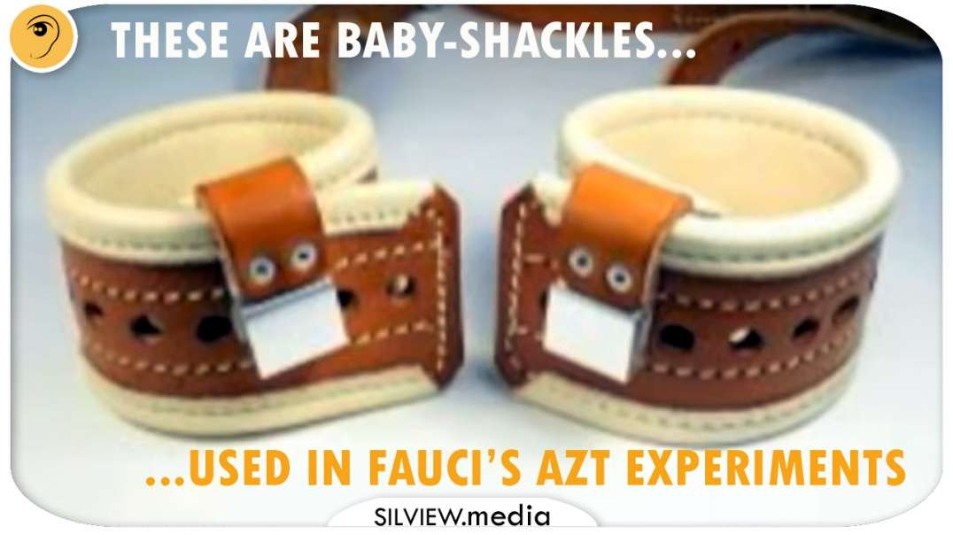FAUCI GREW ABORTED BABY SCALPS ON RATS