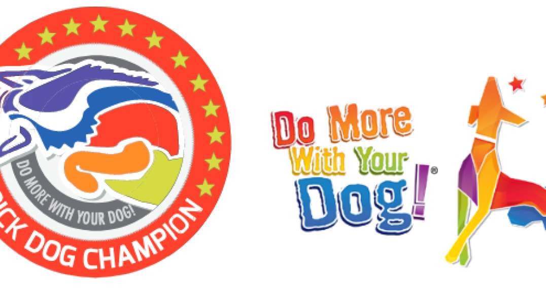 Amber's Trick Dog Champion Title Do More With Your Dog