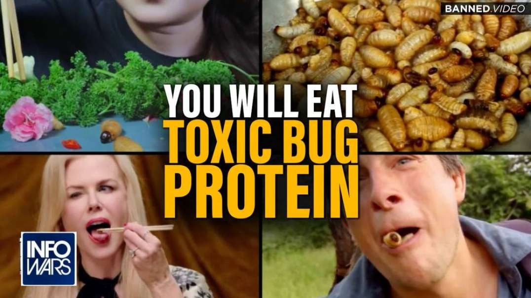You Will Eat Toxic Bug Protein, and You Will Like It!