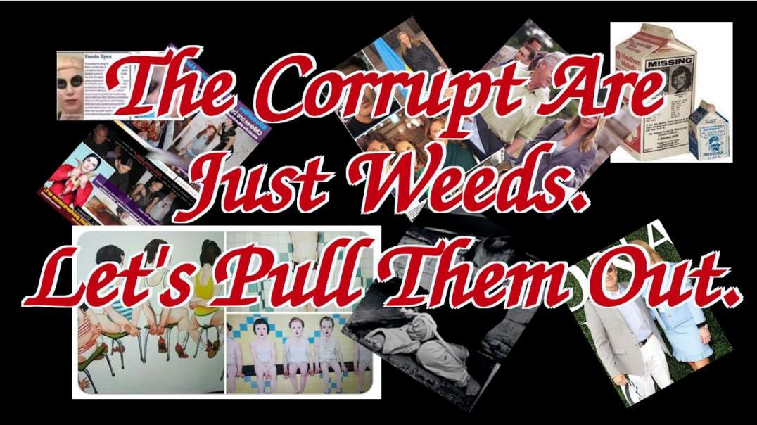 🎯 Just Weeds