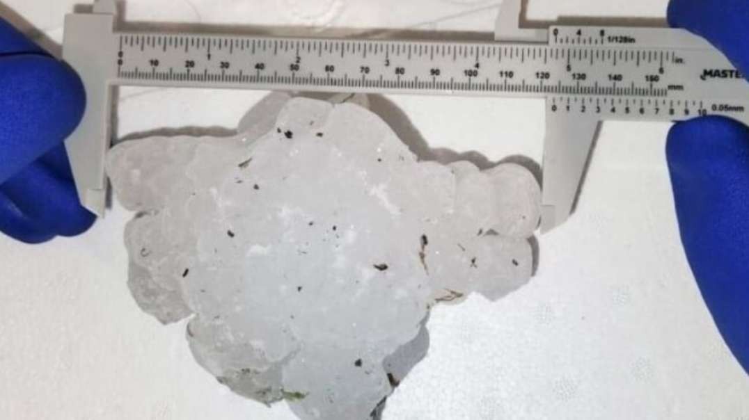 New hail record for Canada_ Huge 4.8-inch-long hailstone found near Markerville, Alberta breaks Canadian record.mp4