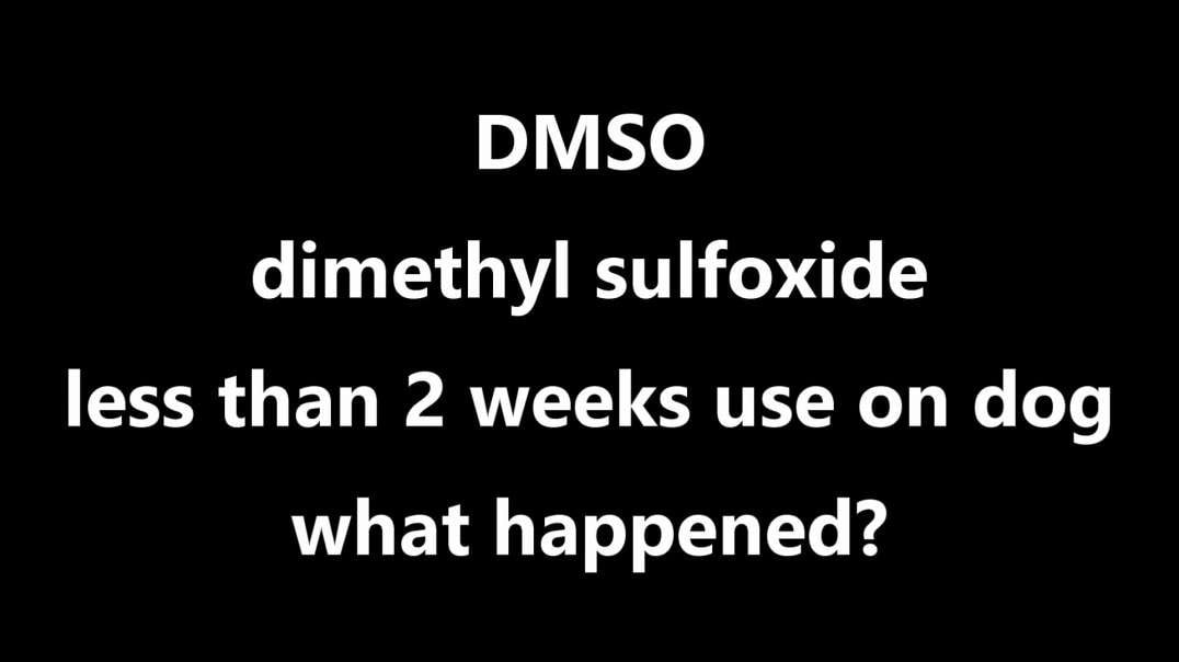 DMSO dimethyl sulfoxide less than 2 weeks use on dog what happened.mp4