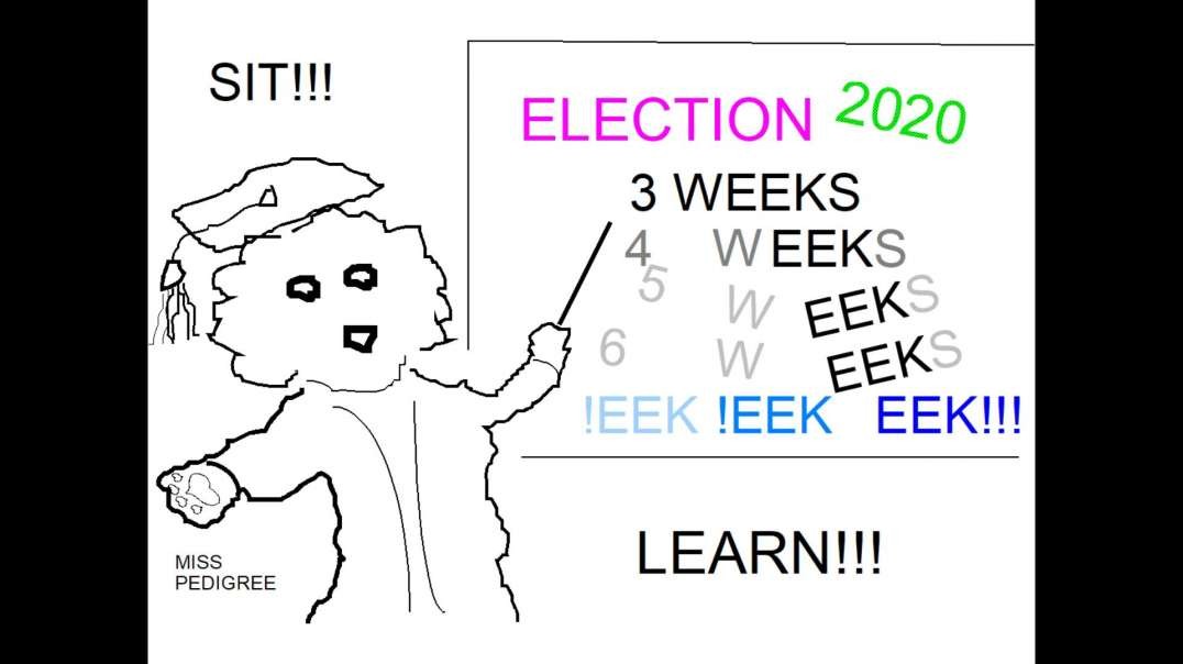 ELECTION 2020 PLUS EEKS!.mp4