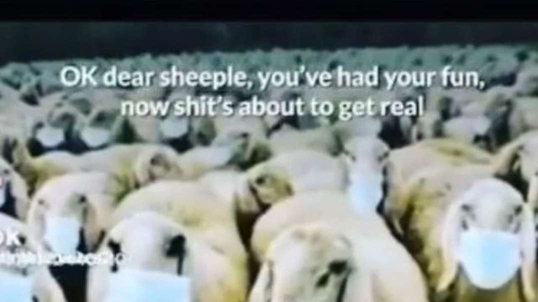 livedownloading.com-SHEEPLE YOU HAVE HAD YOUR FUN NOW SHITS ABOUT TO GET REAL.mp4