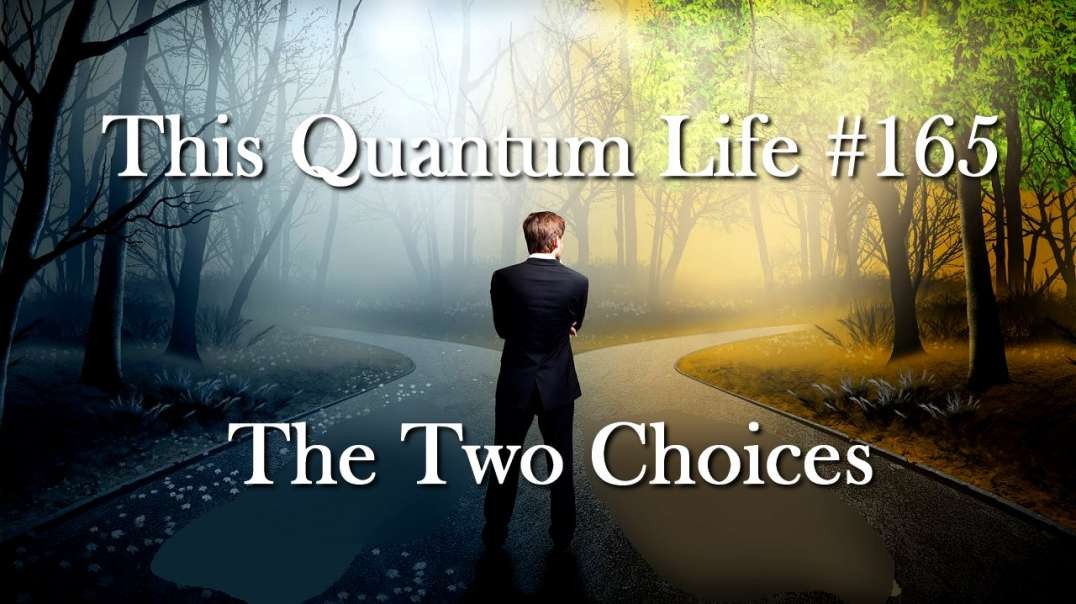 This Quantum Life #165 - The Two Choices
