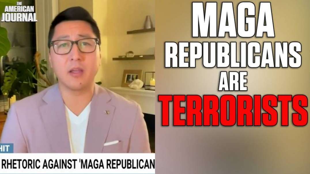 WATCH- MSNBC Pundit Calls Republicans A “Domestic Terrorist Cell"