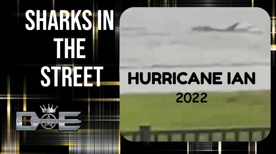 Sharks IN STREET FortMyers  Hurricane Ian Florida 2022