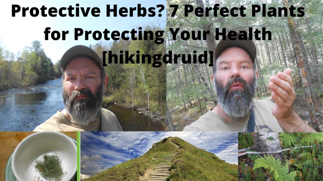 Protective Herbs?7 Perfect Plants for Protecting Your Health [hikingdruid]