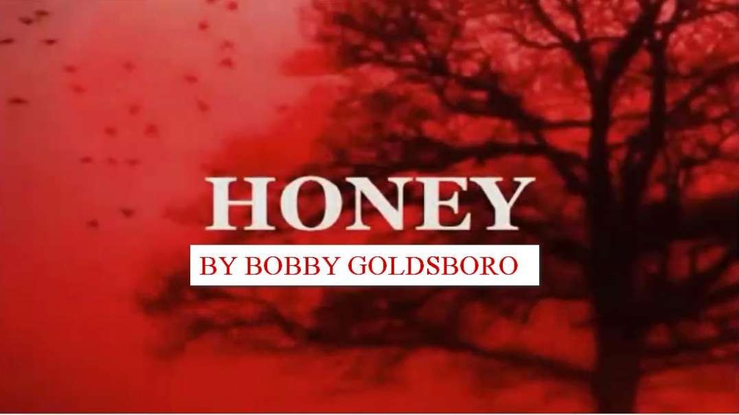 HONEY - BOBBY GOLDSBORO.mp4