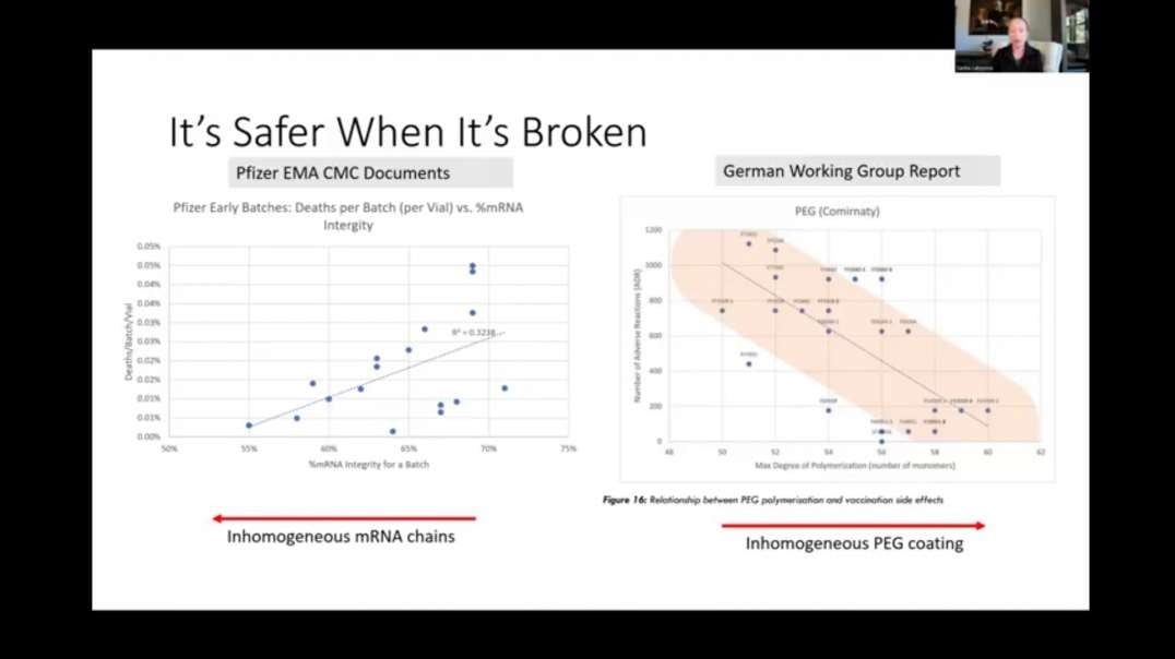 Sasha Latypova - Is It a Bioweapon? mRNA/DNA Products - Data, Evidence and Observations - Team Enigma