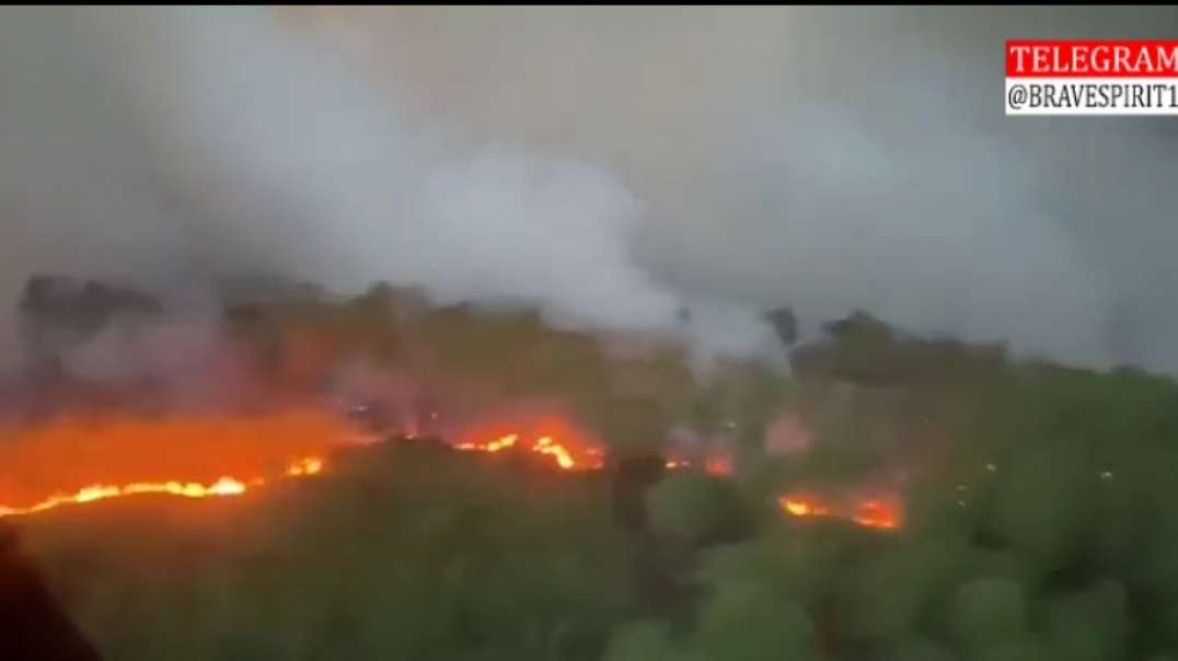 Gironde: The Saumos fire is still active, propagated by 30 km/h wind. The flames covered 1800 hectares of vegetation and forests. 700 firefighters mobilized, new evacuation announced. France.