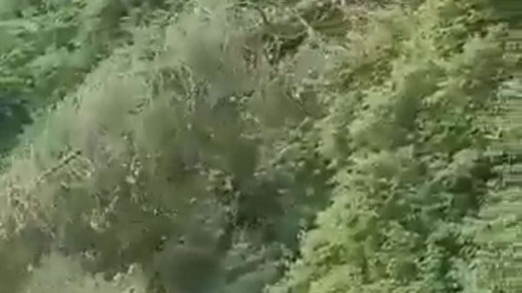 Landslide after rains near Dharampur Sarkaghat Road, Hukkal. India .mp4