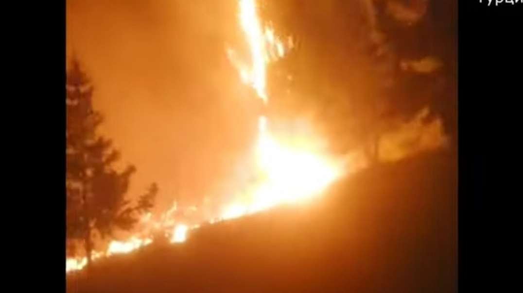 В Турции лесной пожар сегодня приблизился к атомной станции.mp4