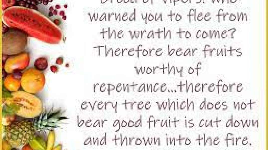Luke 3:8 – Bear Fruit Today!
