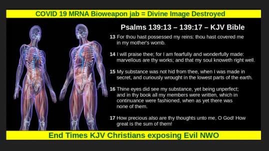 COVID 19 MRNA Bioweapon jab = Divine Image Destroyed