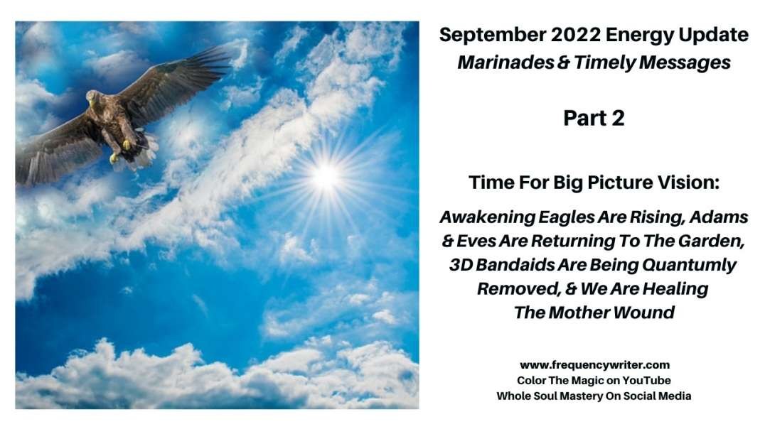Time for Big Picture Vision, Bandaids Being Removed, Adams & Eves Rising, Healing The Mother Wound