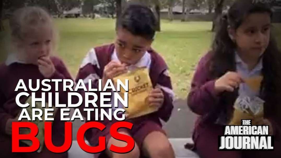 Control The Children- 1,000 Australian Schools Have Introduced Bugs To Their Menu