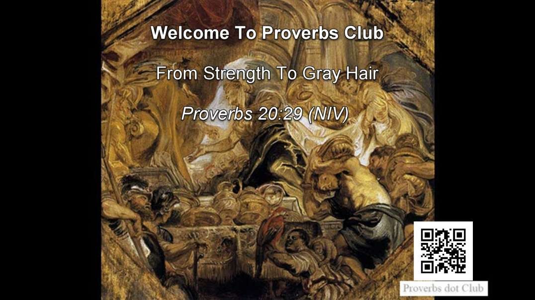 From Strength To Gray Hair - Proverbs 20:29