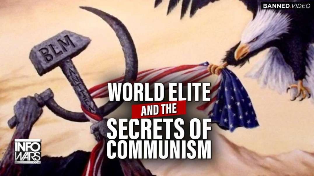 The World Elite, Klaus Schwab, and the Secrets of Communism