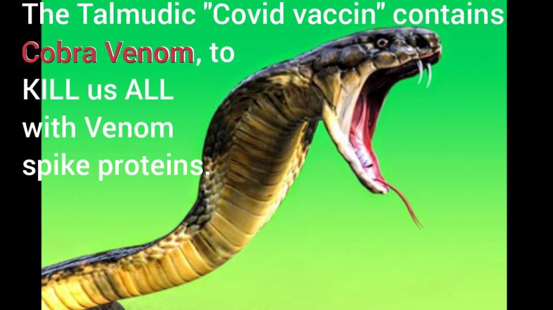 The TALMUDIC-SATANIST "Covid vaccin" contains COBRA VENOM, to KILL US ALL, with Venom spike proteins! Follow me on Telegram: t.me/TheFatherOfHistory