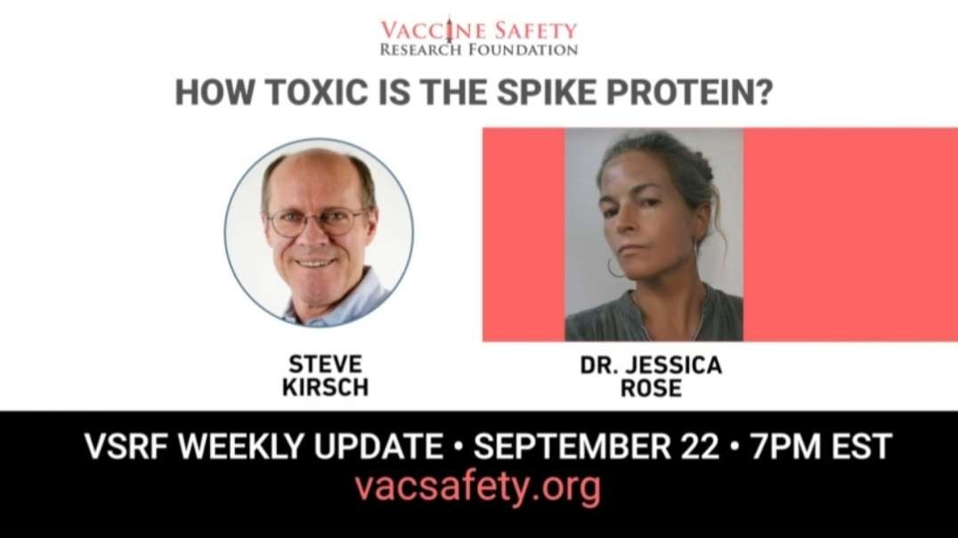 Steve Kirsch, Dr. Jessica Rose, Dan Lux, and Louisa Clary - How Toxic Is The Spike Protein? - Vaccine Safety Research Foundation