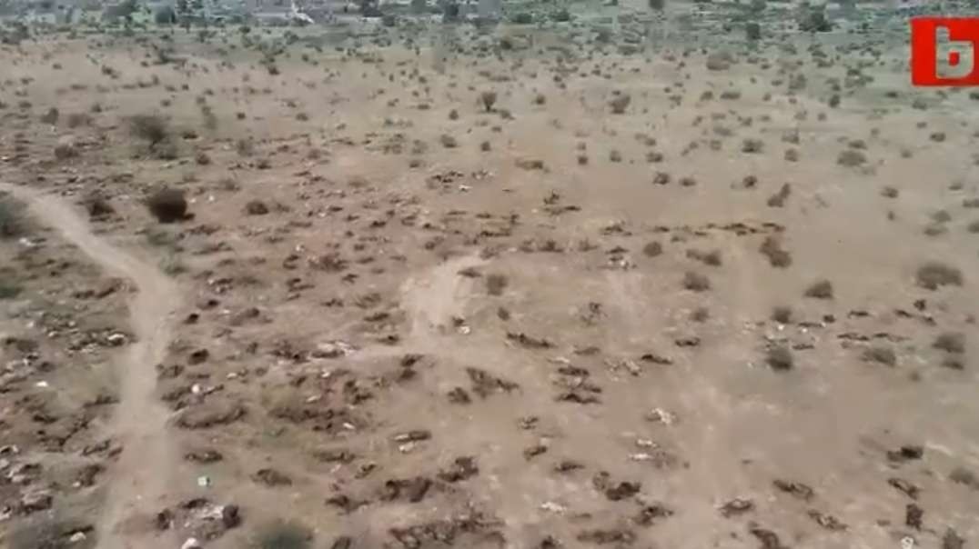 Drone video shows thousands of dead cattle dumped on ground in Rajasthan, India. As per reports more than 85,000 cows died in Rajasthan only and another 2 million cows are infected across the