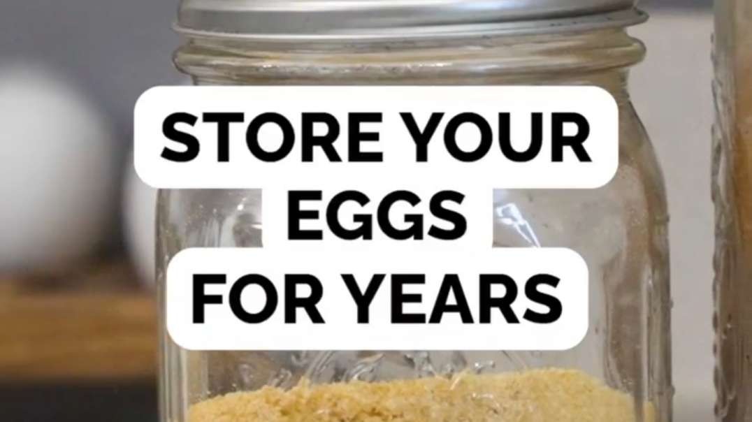 Store your eggs for years