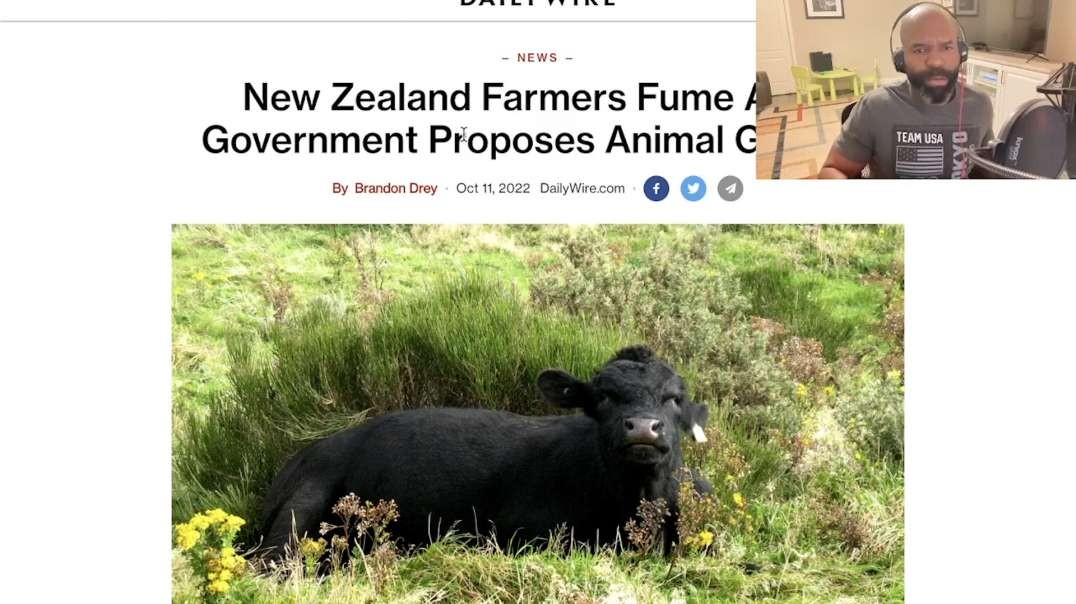WHAT DO KAMALA HARRIS AND COW EMISSIONS HAVE IN COMMOM?