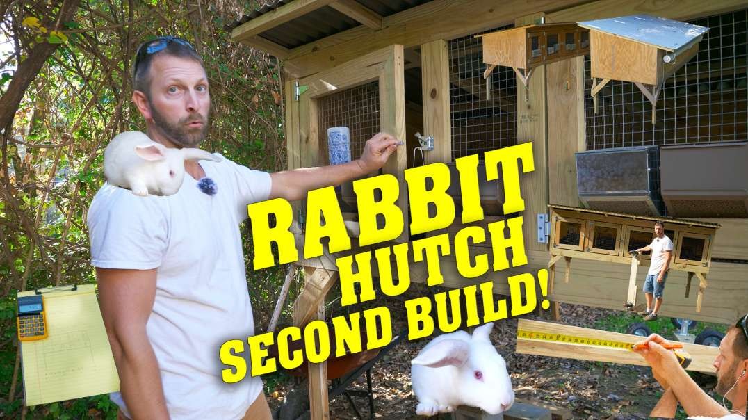 GROW OUT CAGE Built into a RABBIT HUTCH - GENIUS!!
