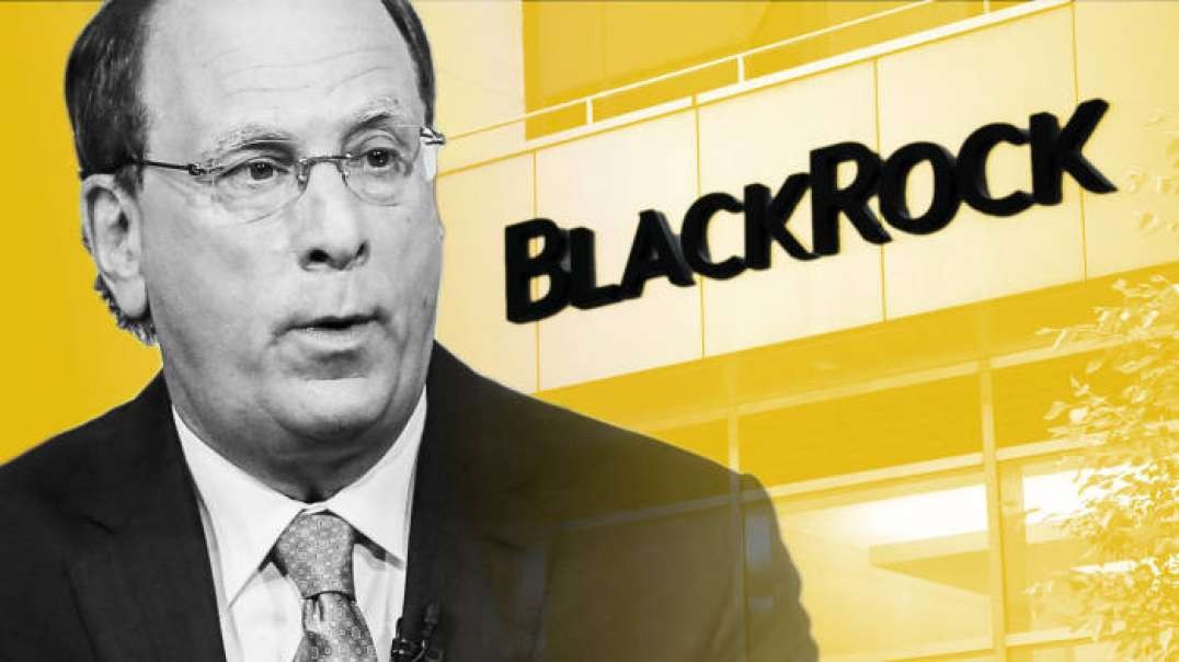 How blackrock leveraged control of the US economy