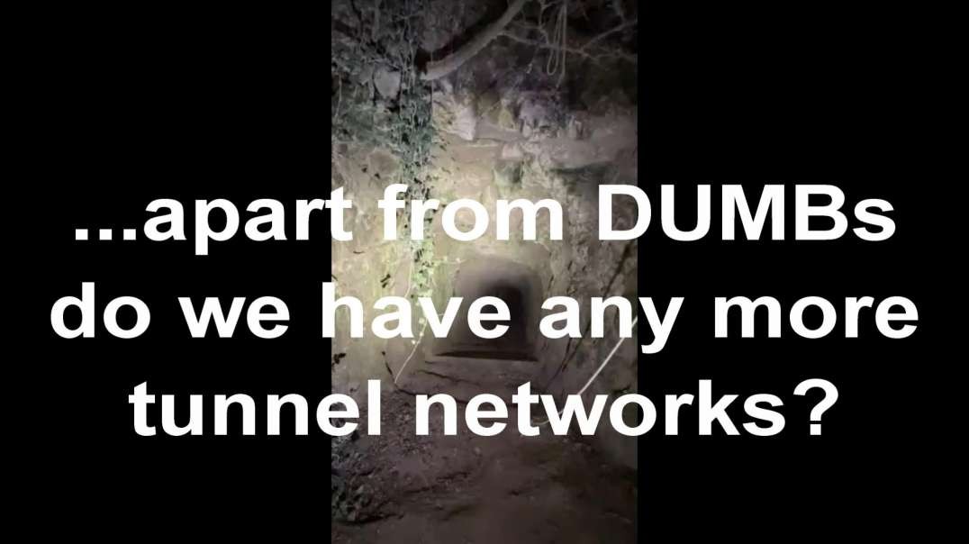 ...apart from DUMBs do we have any more tunnel networks?