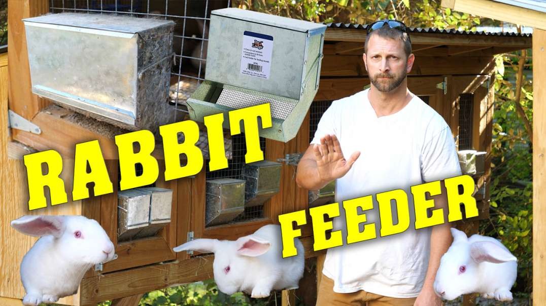 RABBIT FEEDER - PET LODGE - Review