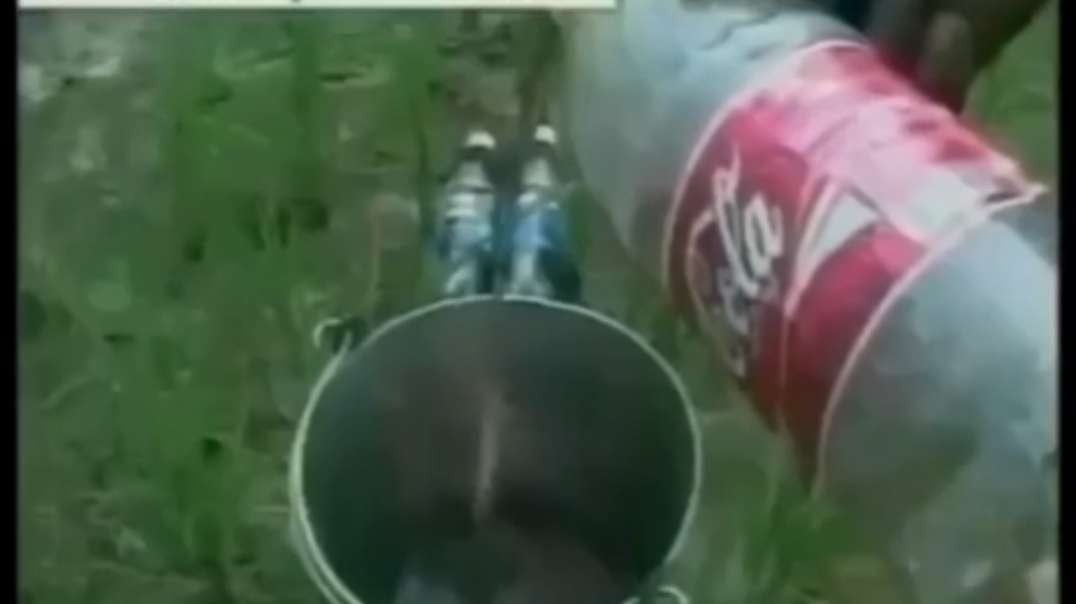 Coke and Pepsi being used by Indian Farmers as a pesticide.mp4