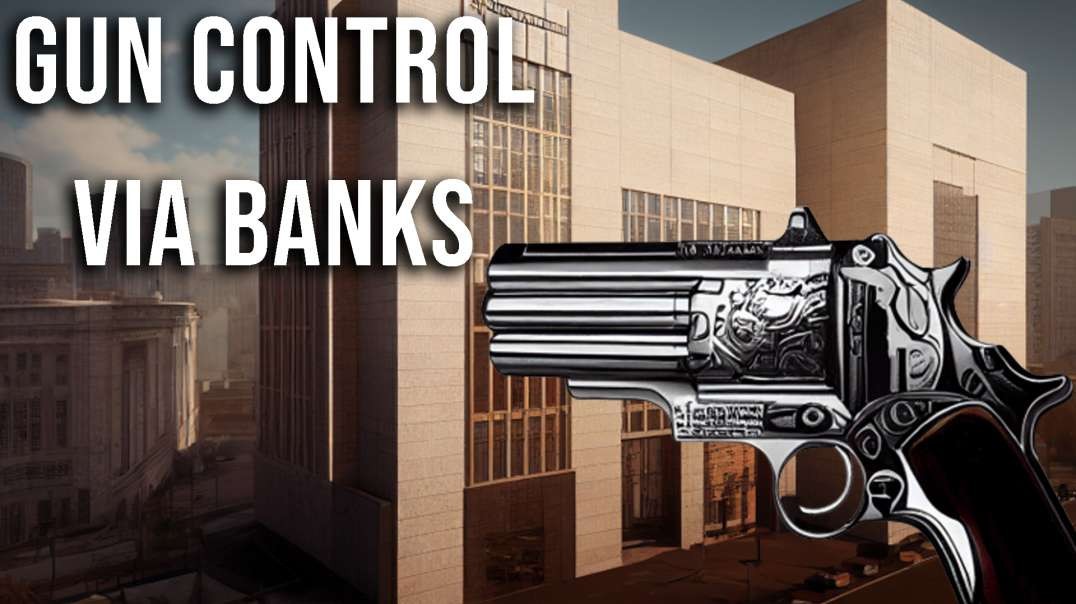 INTERVIEW: Gun Control via Banks & Corporations
