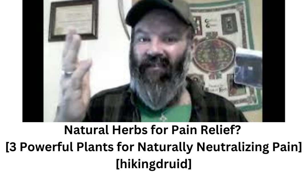 Natural Herbs for Pain Relief 20221002
