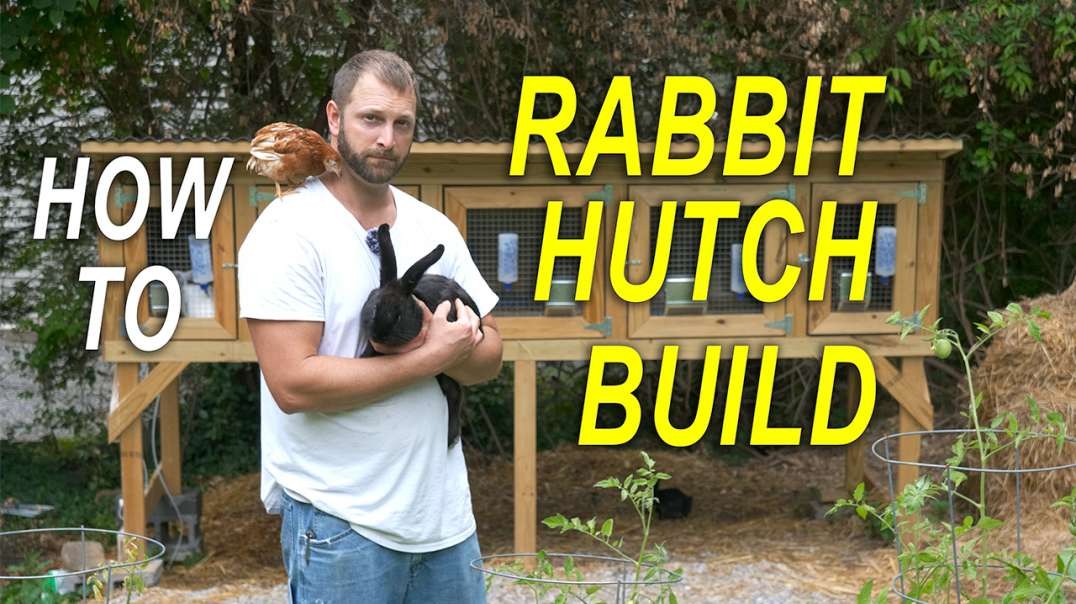 RABBIT HUTCH - PREDATOR PROOF - How To Build