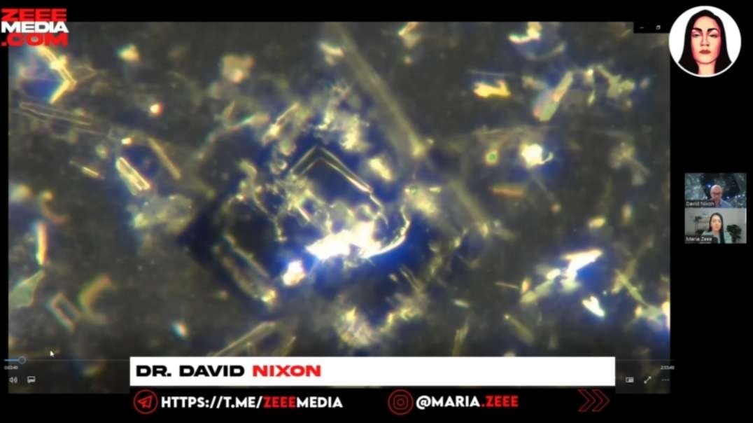Dr. David Nixon - ROBOTIC ARMS Assembling Via Nanotech Inside COVID-19 "Vaccines" - Filmed in Real Time - Maria Zeee