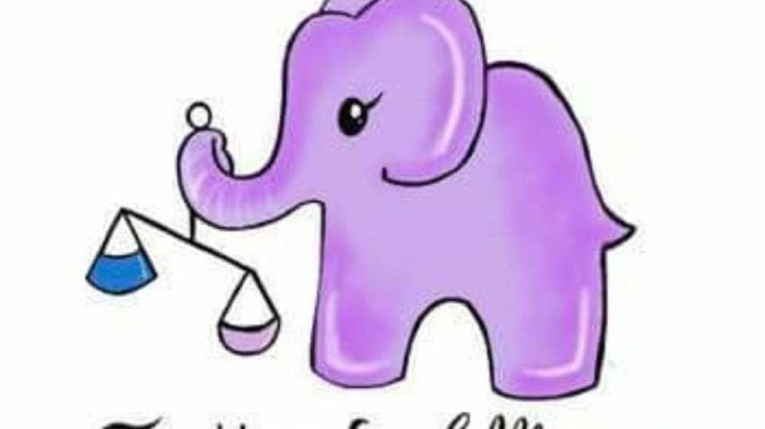JUSTICE FOR ELLIE WILLIAMS OF BARROW