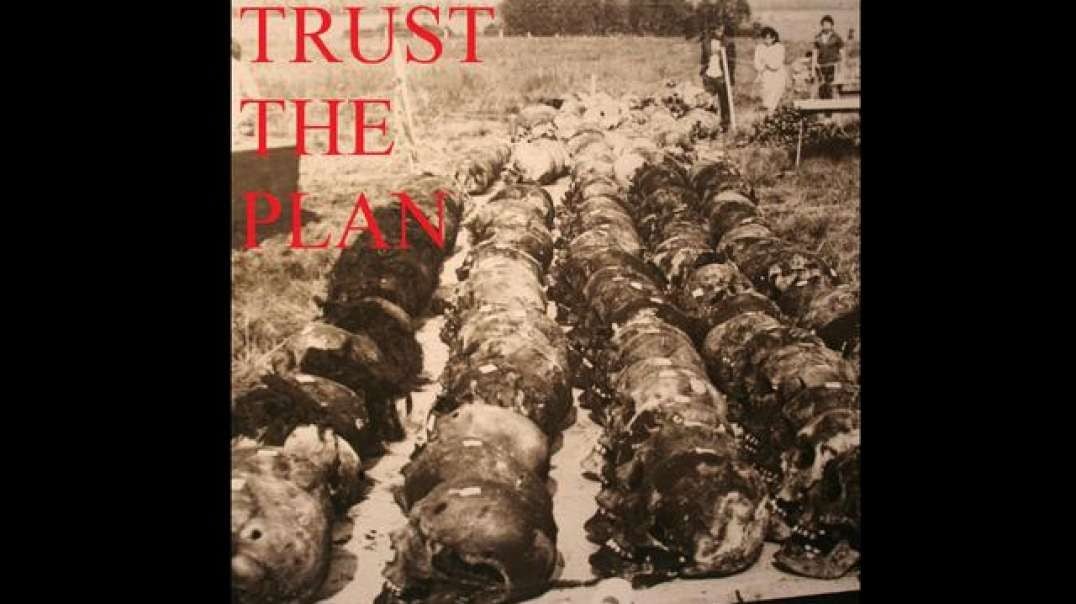 Operation Trust - QAnon Psyop Plan