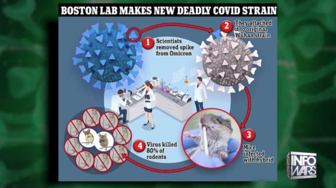 Vax Mass Murder Forecast Ramps Up