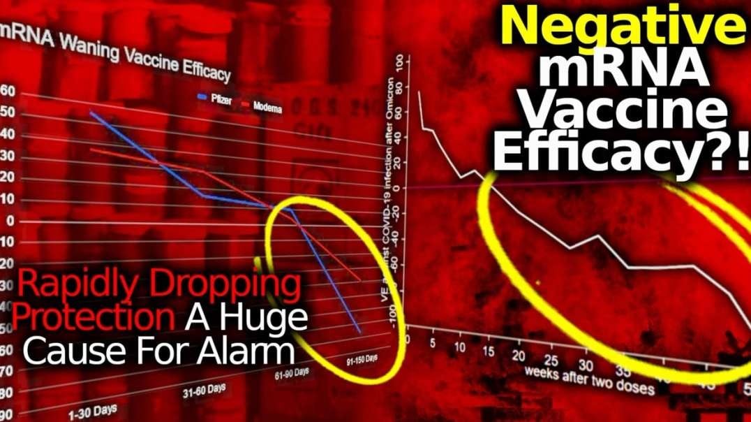 timtruth NEGATIVE EFFICACY! Multiple Studies Showing C19 mRNA Vax Protection Falls Precipitously BELOW ZERO.mp4