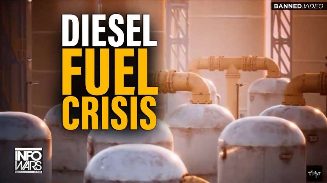 Diesel Fuel Crisis Will Destroy Small Businesses Around the World