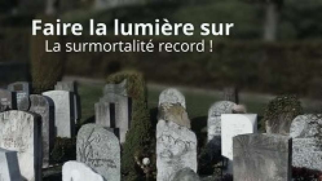 Faire la lumière sur la surmortalité record.mp4