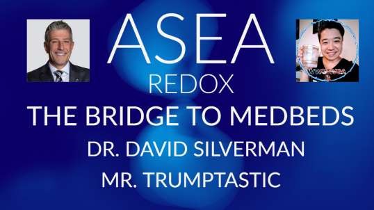 Redox Revolution:  6 reasons to take The Bridge to Medbeds by Dr. David Silverman!  Simply 45tastic!