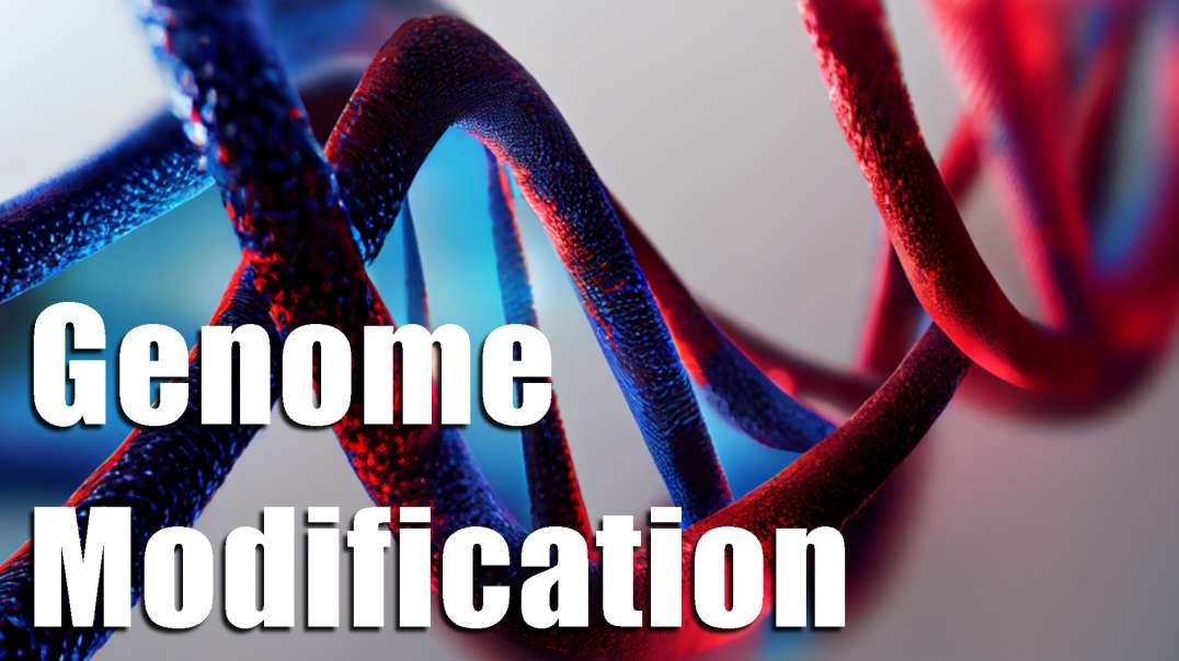 WHO's Framework for Governance: Human Genome Modification